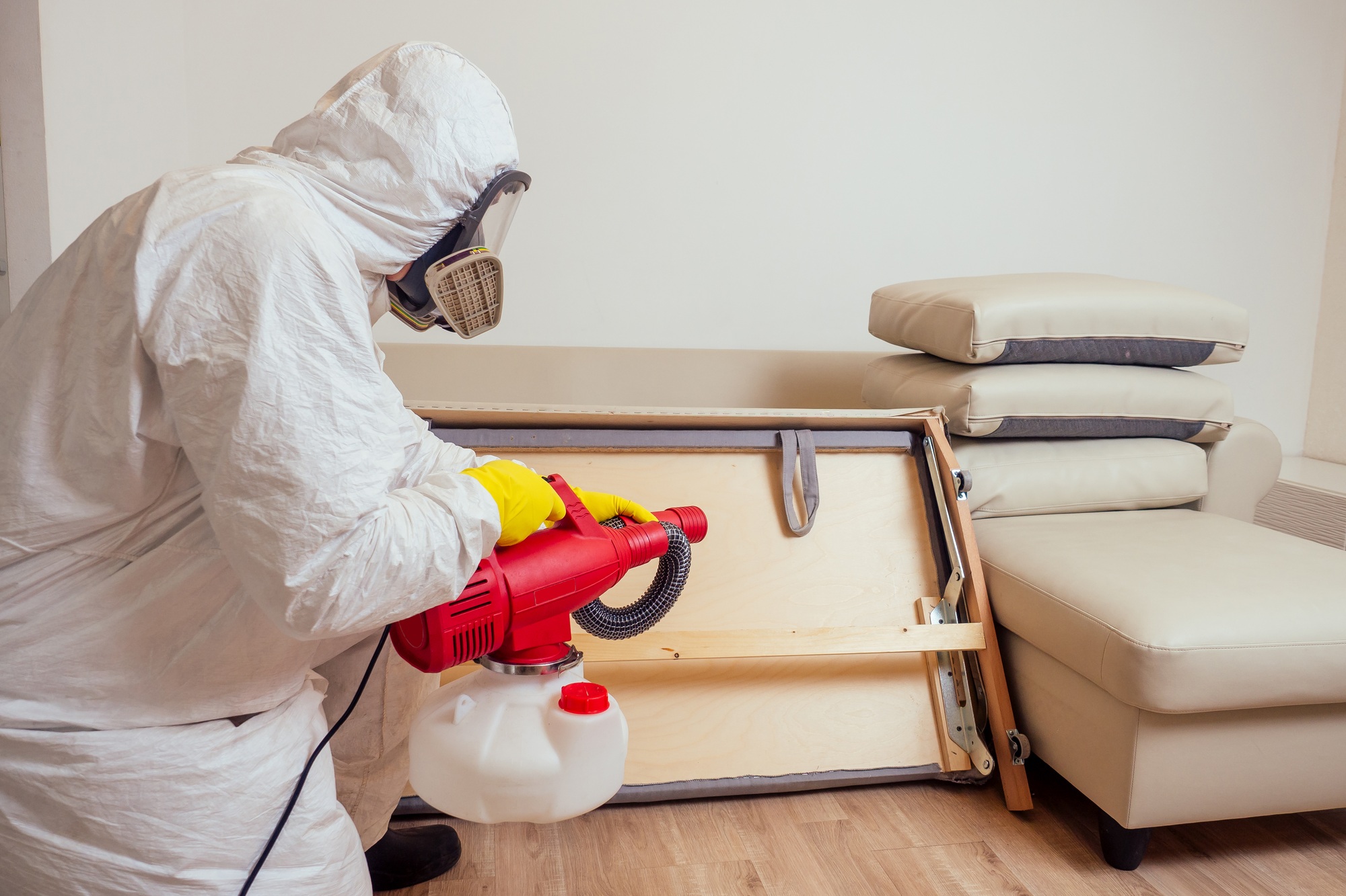Termite Control